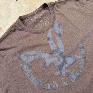 American Eagle Outfitters Eagle Logo Graphic Tee Shirt